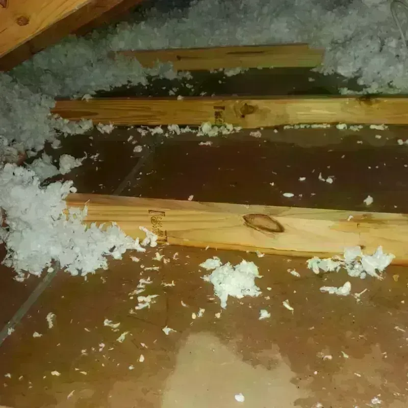 Attic Water Damage in Ninnekah, OK