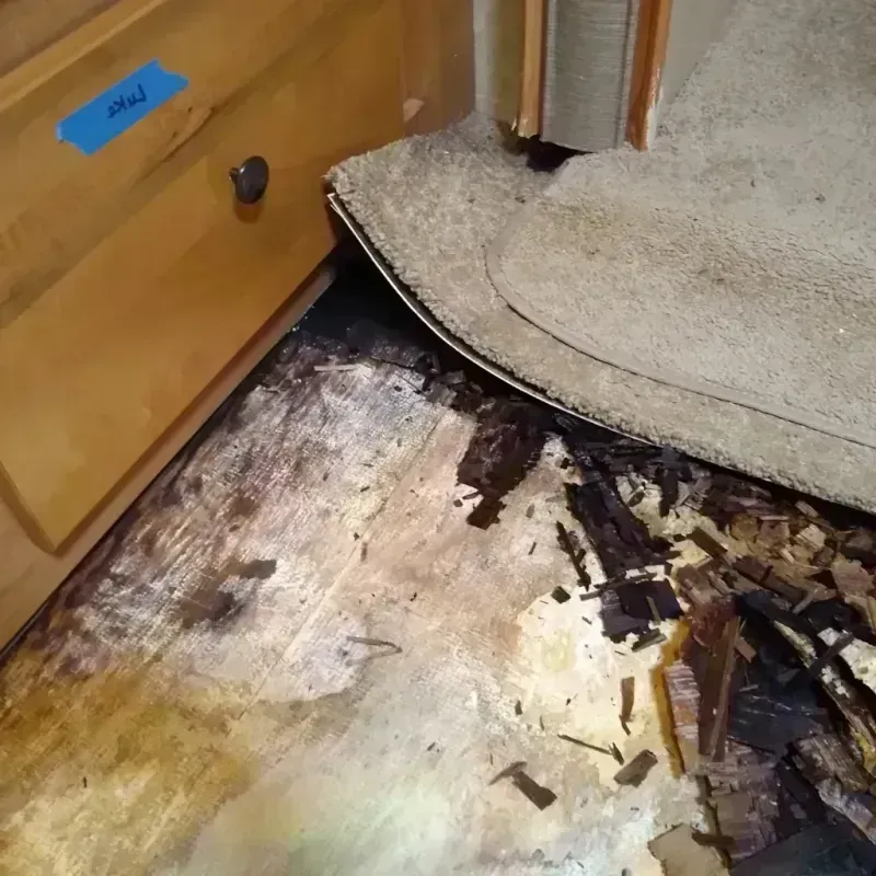 Wood Floor Water Damage in Ninnekah, OK